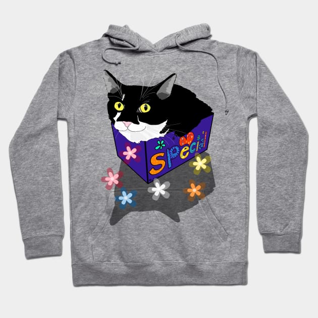 Cute Tuxedo cat sits and fits in a box  Copyright TeAnne Hoodie by TeAnne